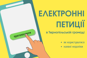 Які недоліки містить Положення про розгляд електронних петицій у Тернополі
