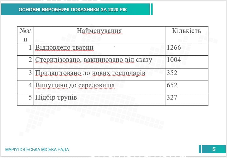 О директорской зарплате, прозрачности и переговорах. Блог зоозащитника